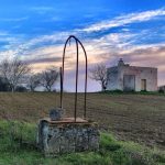 RESILIENZA DEGLI ULIVI E RIGENERAZIONE DEL TERRITORIO