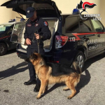 ARRESTATO PRESUNTO SPACCIATORE