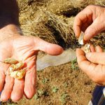 INCONTRO SULLA BIODIVERSITA’ A ZOLLINO VENERDI’ 22 
