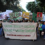 ”Voci, suoni e colori: un corteo di bellezza per salvare il bosco d’Arneo”