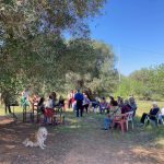 DUE RICHIESTE DELLE ASSOCIAZIONI ALLA REGIONE PUGLIA SULLA XYLELLA
