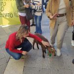 “Noi non siamo terra di conquista sì al bosco no alla pista” IL MANTRA DEL CORTEO CHE HA PORTATO LA PROTESTA CONTRO L’AMPLIAMENTO DELLA PISTA PORSCHE DI NARDO’ NEL CENTRO DI LECCE CITTA’ CON   UNA MANIFESTAZIONE COREOGRAFICA