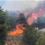 RICOMINCIAMO. PUNTUALI, ALLA PRIMA GIORNATA DI CALDO, I PIROMANI CRIMINALI  IMPUNITI HANNO INAUGURATO LA STAGIONE QUESTO POMERIGGIO A GALLIPOLI LIDO CONCHIGLIE. TRE ORE DI FIAMME, INCENDIO  SPENTO CON AEREI