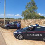REPORT DEI CARABINIERI SU ARRESTO PIROMANE COLTO SUL FATTO