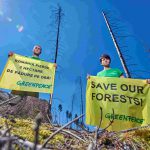 LA GIORNATA NAZIONALE DEGLI ALBERI / LA DEFORESTAZIONE IN ATTO NEL MONDO