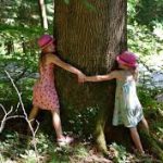 LA GIORNATA NAZIONALE DEGLI ALBERI / LE INIZIATIVE IN PUGLIA