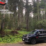 “Sull’importanza primaria delle risorse forestali ai fini della conservazione e della sostenibilità della vita sulla terra”, L’IMPEGNO DEI CARABINIERI FORESTALI