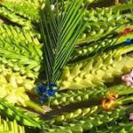 DIARIO DEL GIORNO / DOMENICA 29 MARZO 2026