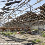 GRAVI IRREGOLARITA’ IN UN’AZIENDA AGRICOLA: SEQUESTRI E UNA DENUNCIA