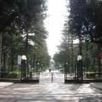 LA PROPOSTA / : “Il Giro d’Italia per piantumare: rialberiamo la Villa Comunale”