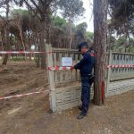 LAVORI ABUSIVI NELLA PINETA DI VERNOLE, INTERVENGONO I CARABINIERI