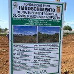 INTERVENTI DI IMBOSCHIMENTO A NARDO’ FRA REALTA’ E PROSPETTIVE