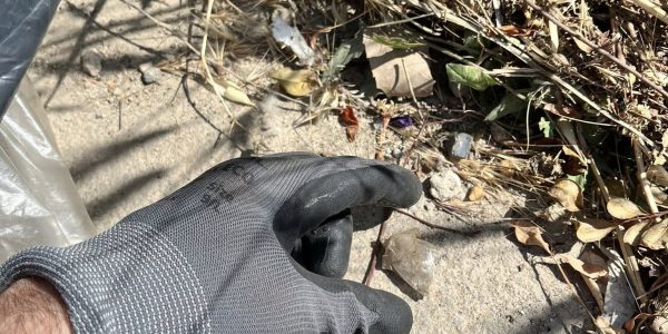 LA STORIA / IL MIO SABATO MATTINA DA VOLONTARIO SOLITARIO UN PO’INCAZZATO