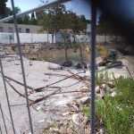 IL ‘COORDINAMENTO ALBERI E VERDE URBANO’ DENUNCIA IL MASSACRO DELLE MAGNOLIE DI VIA SOZY CARAFA A LECCE