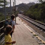 “Che mondo vogliamo lasciare ai nostri ragazzi?”. A leccecronaca.it LINDA MAGGIORI AFFIDA LE SUE RIFLESSIONI SU GENITORI ED EDUCATORI PER LA DIFESA DELL’AMBIENTE. SPECIE DEGLI ALBERI, “esseri viventi che ci danno tanto”