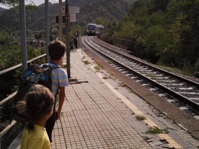 “Che mondo vogliamo lasciare ai nostri ragazzi?”. A leccecronaca.it LINDA MAGGIORI AFFIDA LE SUE RIFLESSIONI SU GENITORI ED EDUCATORI PER LA DIFESA DELL’AMBIENTE. SPECIE DEGLI ALBERI, “esseri viventi che ci danno tanto”