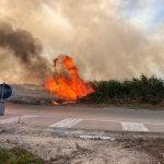 INCENDI: LE VERITA’ DI leccecronaca.it