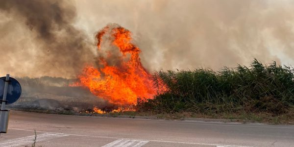 INCENDI: LE VERITA’ DI leccecronaca.it