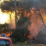 INFERNO DI FUOCO NEL PARCO DELLE ORTE DI OTRANTO