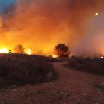 INCENDIO NELL’AREA PROTETTA: UNA TAGLIA SU CHI HA DISTRUTTO L’ORTE