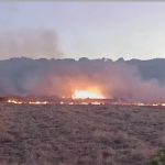 FUOCO DEVASTA LA ZONA TRA PRESICCE E ACQUARICA, A RISCHIO LA VEGETAZIONE