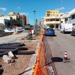 RICHIESTA DI VERIFICA A LECCE CITTA’ SUGLI ABBATTIMENTI DEGLI ALBERI