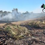 BRUCIANO SCARTI DI VEGETAZIONE IN CAMPAGNA E PROVOCANO UN INCENDIO: DUE DENUNCIATI A PIEDE LIBERO