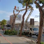 LA RIFLESSIONE / LA LECCE BELLISSIMA NON C’E’ PIU’, E’ DIVENTATA INABITABILE