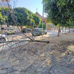 LA DENUNCIA / IMPIANTO DI IRRIGAZIONE FUORI USO, LA DESERTIFICAZIONE AVANZA