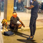 IL CANE SFRUTTATO IN VIA TRINCHESE: LA SITUAZIONE AD OGGI DI UNA VICENDA CHE HA FATTO IL GIRO DEL WEB IN TUTTA ITALIA