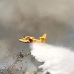 INCENDIO A TORRE CHIANCA, FIAMME NEL CANNETO: CANADAIR IN AZIONE
