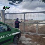 LECCE, BLITZ DEI CARABINIERI FORESTALI A SAN CATALDO: SEQUESTRATI PISCINE, AREA GIOCHI E BAR IN UN’AZIENDA