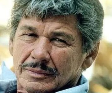 POLVERE DI STELLE / CHARLES BRONSON, IL CARISMA DELL’ATTORE ‘BRUTTO’