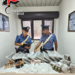 IMPONENTE OPERAZIONE ANTIDROGA DEI CARABINIERI NEL SALENTO / SVILUPPI