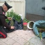 LEPORANO, UN ARRESTO PER DROGA