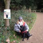 ARIA DI LONDRA / IL DOGGY BAG, STEPHEN HAWKING E LA MONARCHIA COME DISPOSITIVO SERIALE: L’INGHILTERRA NEL RACCONTO MEDIATICO ITALIANO