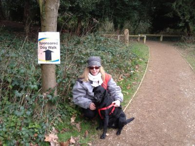 ARIA DI LONDRA / IL DOGGY BAG, STEPHEN HAWKING E LA MONARCHIA COME DISPOSITIVO SERIALE: L’INGHILTERRA NEL RACCONTO MEDIATICO ITALIANO