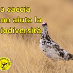 LA CACCIA NUOCE GRAVEMENTE ALLA BIO DIVERSITA’: NIENTE GIUSTIFICA LA CACCIA