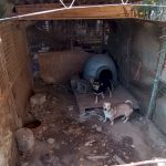 LEUCA, INTERVENGONO I SANITARI DEL 118 PER UN MALORE E SCOPRONO IN CASA VENTITRE’ CANI IN GRAVI CONDIZIONI