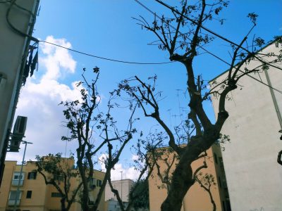 POTATURE? NO, CAPITOZZATURE! LO SCEMPIO A LECCE DEL RIONE SANTA ROSA