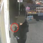 TRUFFE INFORMATICHE E RICICLAGGIO, MAXI SEQUESTRO DA 1,5 MILIONI DI EURO: 68 PERSONE SOTTO INDAGINE