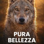 LA FONDAZIONE CAPELLINO E IL SUO IMPEGNO PER LA BIODIVERSITA’: LE INIZIATIVE FINANZIATE INTERAMENTE CON I PROFITTI DELL’AZIENDA ALMO NATURE