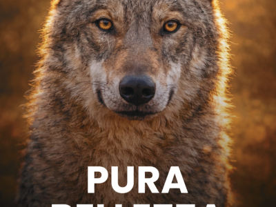 LA FONDAZIONE CAPELLINO E IL SUO IMPEGNO PER LA BIODIVERSITA’: LE INIZIATIVE FINANZIATE INTERAMENTE CON I PROFITTI DELL’AZIENDA ALMO NATURE