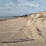 IL CASO / GALLIPOLI, ‘MANOVRE’ BALNEARI