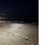 IL MARE DI SAN FOCA PORTA IN SPIAGGIA DIECI DETONATORI DI BOMBE A MANO