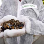 OGGI LA GIORNATA DELLA TERRA. GREEN PEACE LANCIA UNA PETIZIONE PER CHIEDERE LO STOP ALL’USO DEI PESTICIDI