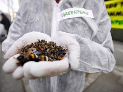 OGGI LA GIORNATA DELLA TERRA. GREEN PEACE LANCIA UNA PETIZIONE PER CHIEDERE LO STOP ALL’USO DEI PESTICIDI