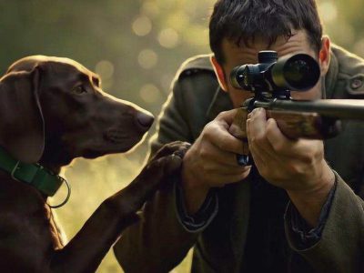 ‘RINUNCIAMO ALLE NUOVE NORME SULLA CACCIA, UNIAMOCI IN UNO SFORZO COMUNE PER BANDIRE LA CHIMICA DALL’AGRICOLTURA E PROTEGGERE LA NOSTRA SALUTE’. IL PRESSANTE APPELLO DELLA FONDAZIONE CAPELLINO