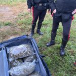 IL BLITZ SCATTATO ALL’ALBA ALLE PORTE DI LECCE, BRILLANTE OPERAZIONE ANTIDROGA DEI CARABINIERI, SEQUESTRATO INGENTE QUANTITATIVO DI MARIJUANA, ARRESTATO GIOVANE PRESUNTO SPACCIATORE INCENSURATO