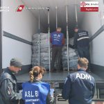BRINDISI, SEQUESTRATO GROSSO QUANTITATIVO DI COZZE ‘GRECHE’